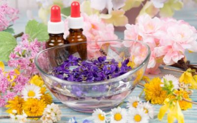 Conseils en Elixirs Floraux